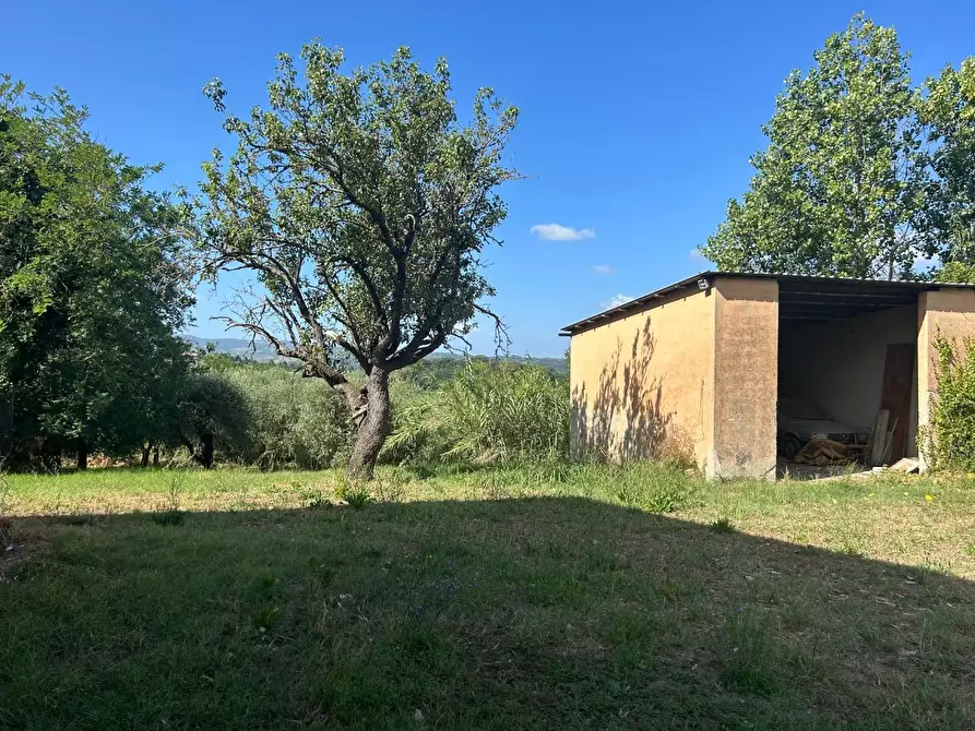 Immagine 10 di Casa indipendente in vendita  a Capannoli