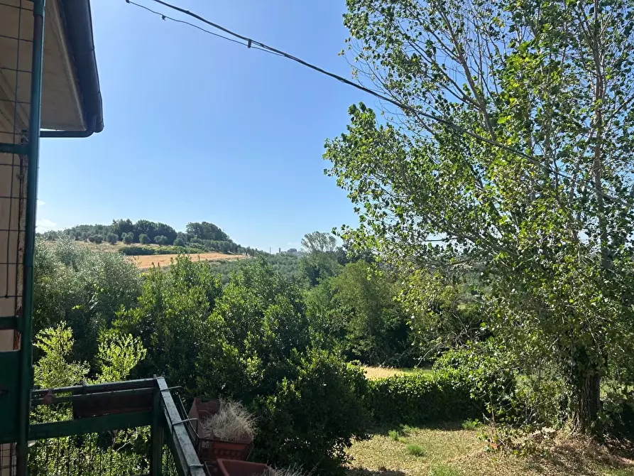 Immagine 23 di Casa indipendente in vendita  a Capannoli