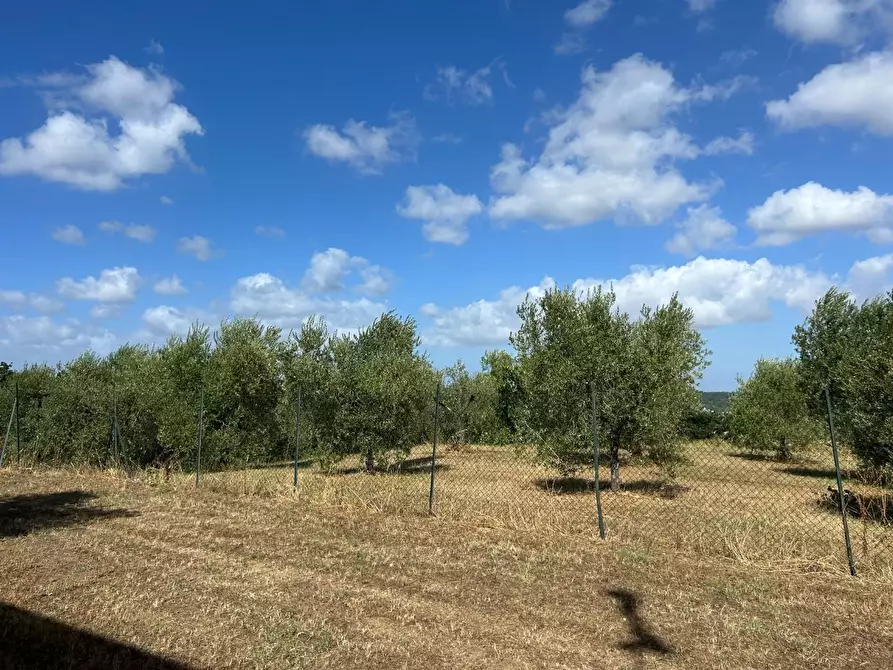 Immagine 4 di Casa indipendente in vendita  a Capannoli