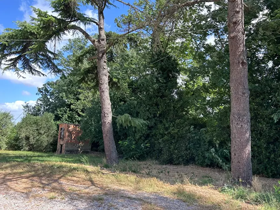 Immagine 14 di Casa indipendente in vendita  a Capannoli