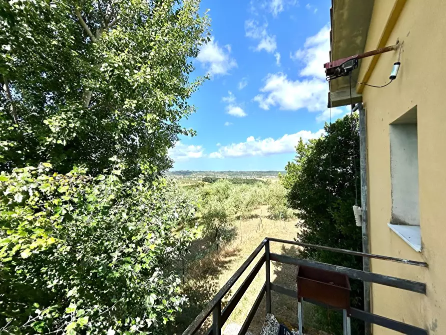 Immagine 24 di Casa indipendente in vendita  a Capannoli