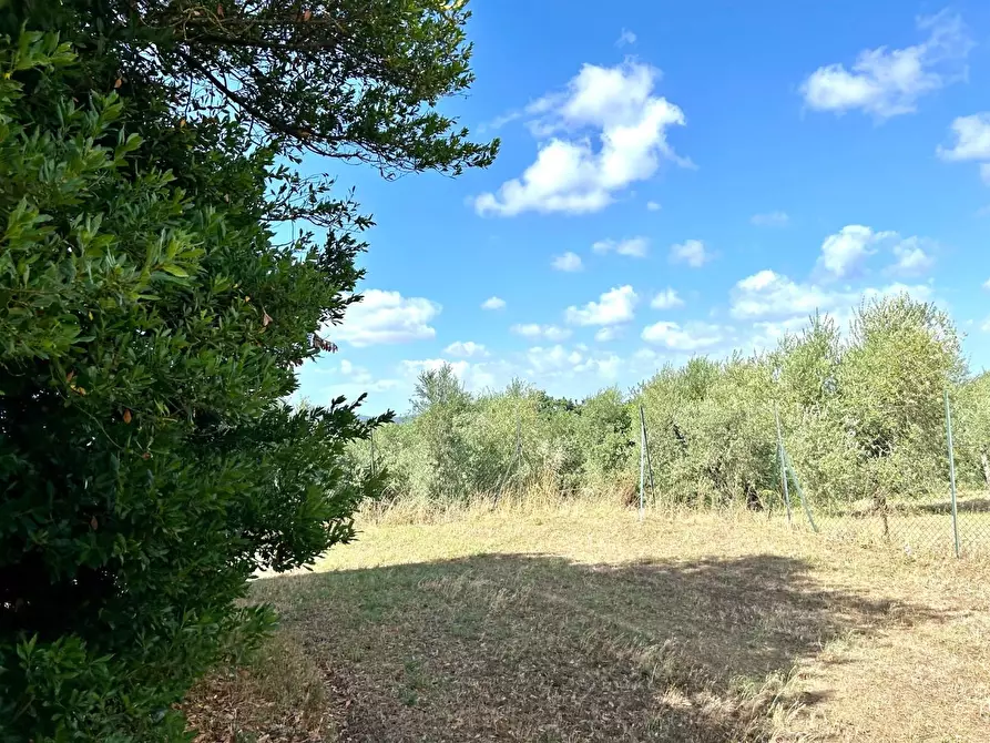 Immagine 30 di Casa indipendente in vendita  a Capannoli