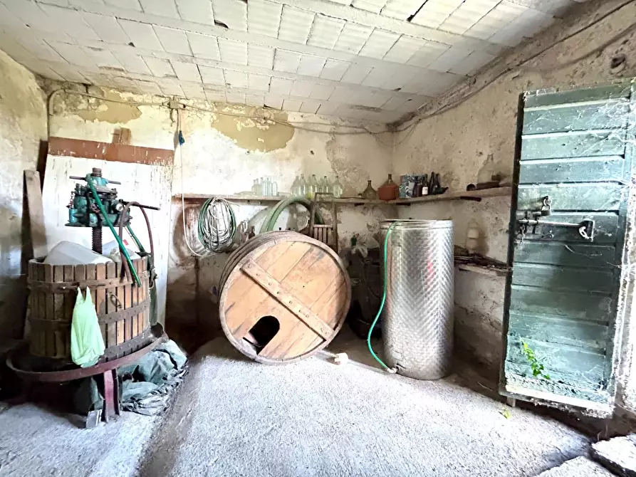 Immagine 21 di Casa indipendente in vendita  a Capannoli