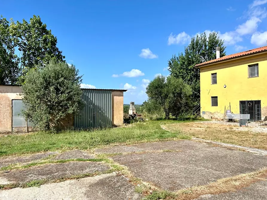 Immagine 13 di Casa indipendente in vendita  a Capannoli