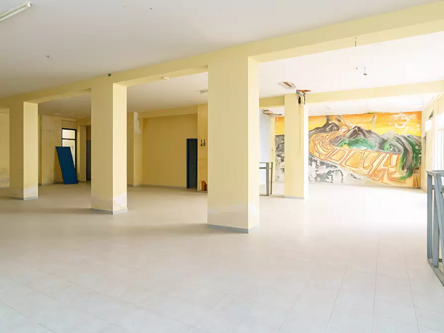 Immagine 2 di Capannone industriale in vendita  a Nicolosi