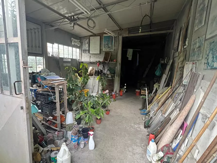 Immagine 4 di Attività artigianale in vendita  a Pietrasanta