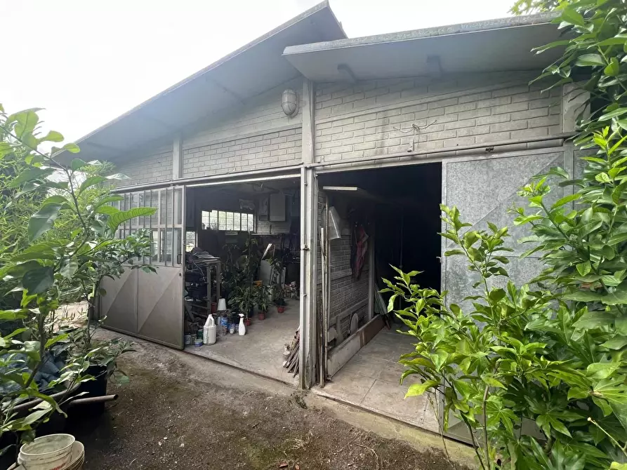 Immagine 2 di Attività artigianale in vendita  a Pietrasanta