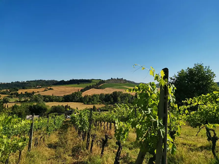 Immagine 6 di Terreno agricolo in vendita  a Poggibonsi