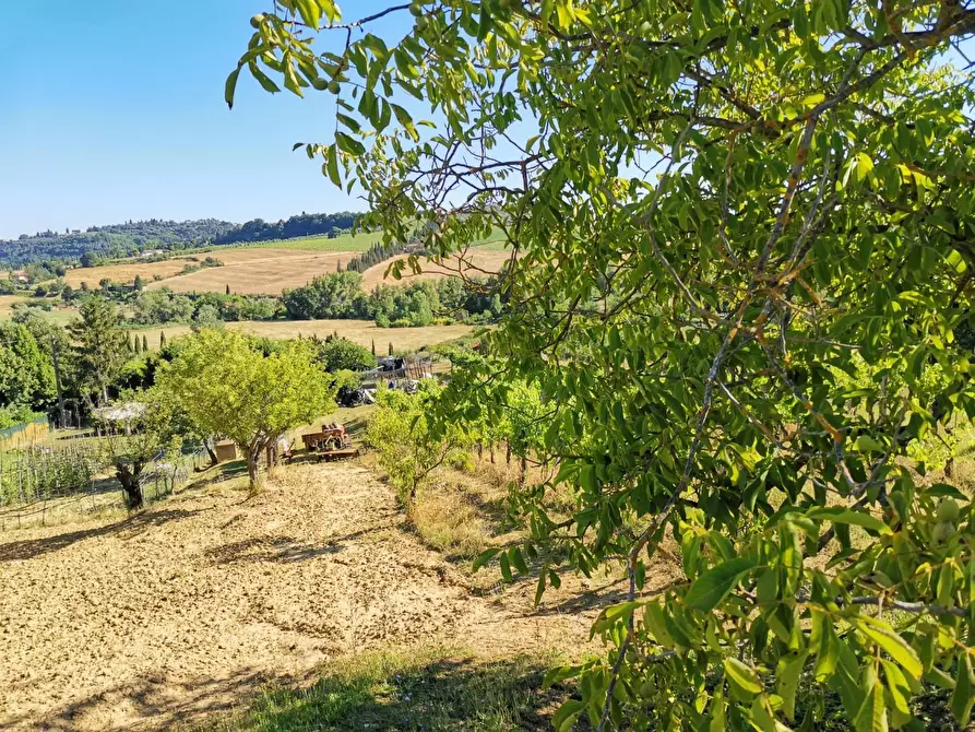 Immagine 8 di Terreno agricolo in vendita  a Poggibonsi