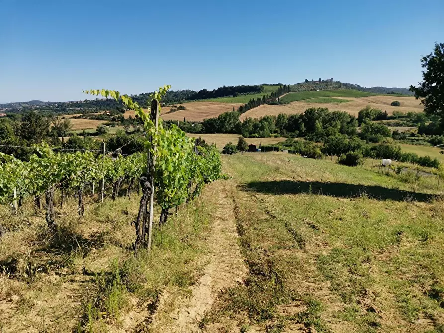 Immagine 5 di Terreno agricolo in vendita  a Poggibonsi