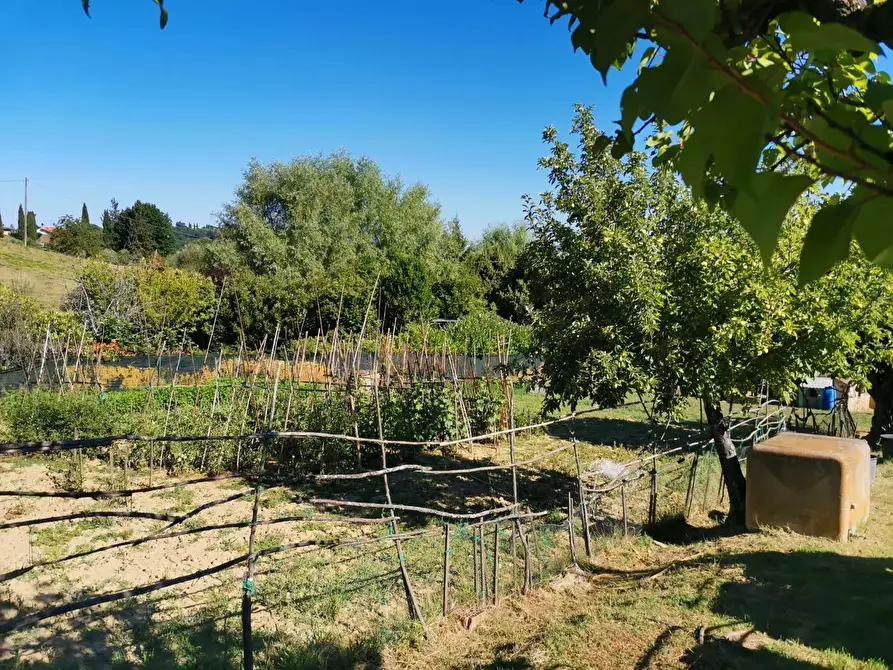 Immagine 4 di Terreno agricolo in vendita  a Poggibonsi