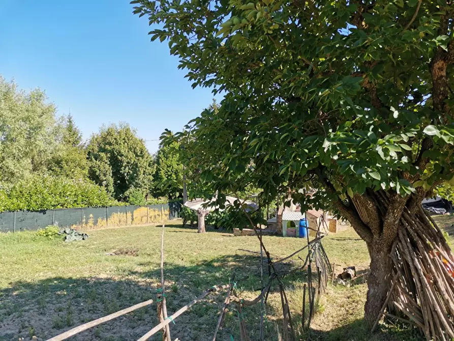 Immagine 14 di Terreno agricolo in vendita  a Poggibonsi