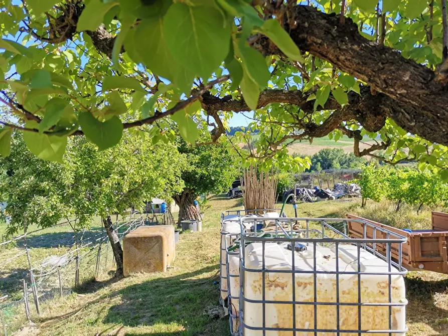 Immagine 3 di Terreno agricolo in vendita  a Poggibonsi