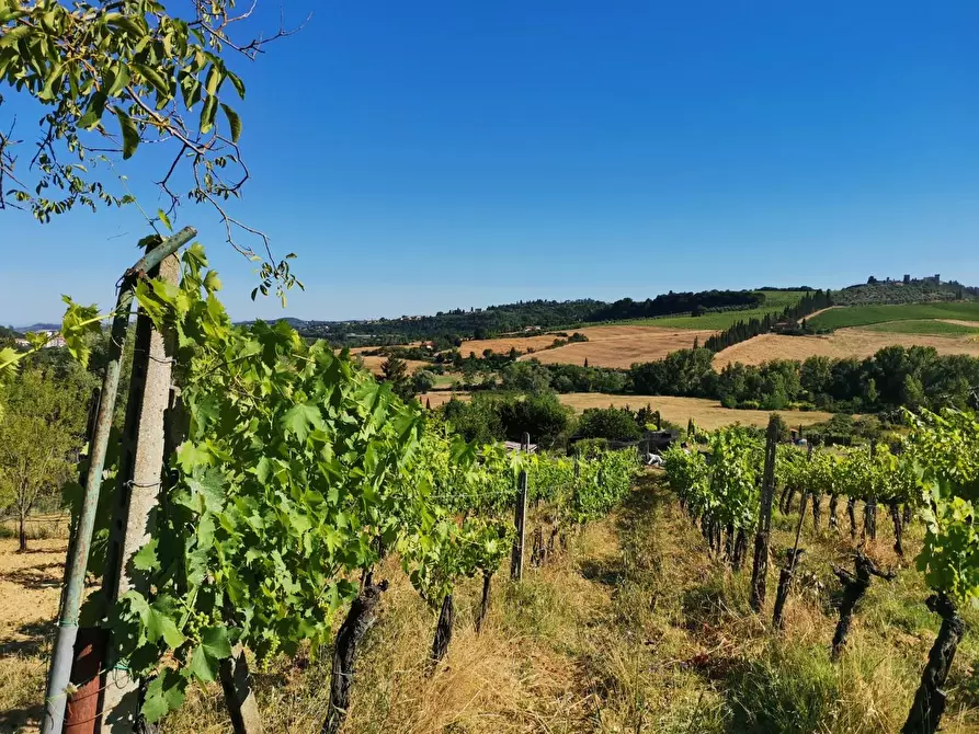 Immagine 7 di Terreno agricolo in vendita  a Poggibonsi