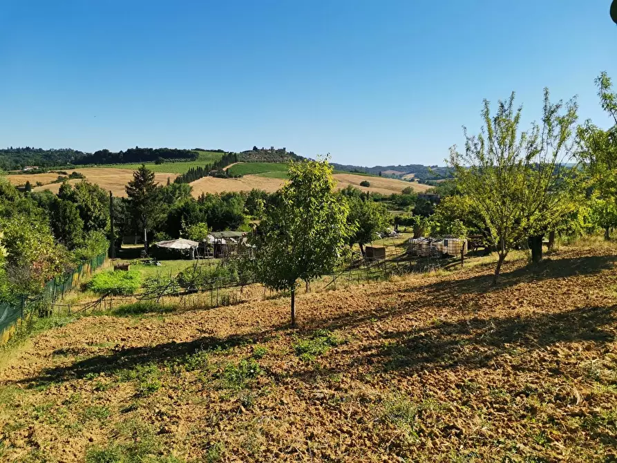 Immagine 13 di Terreno agricolo in vendita  a Poggibonsi