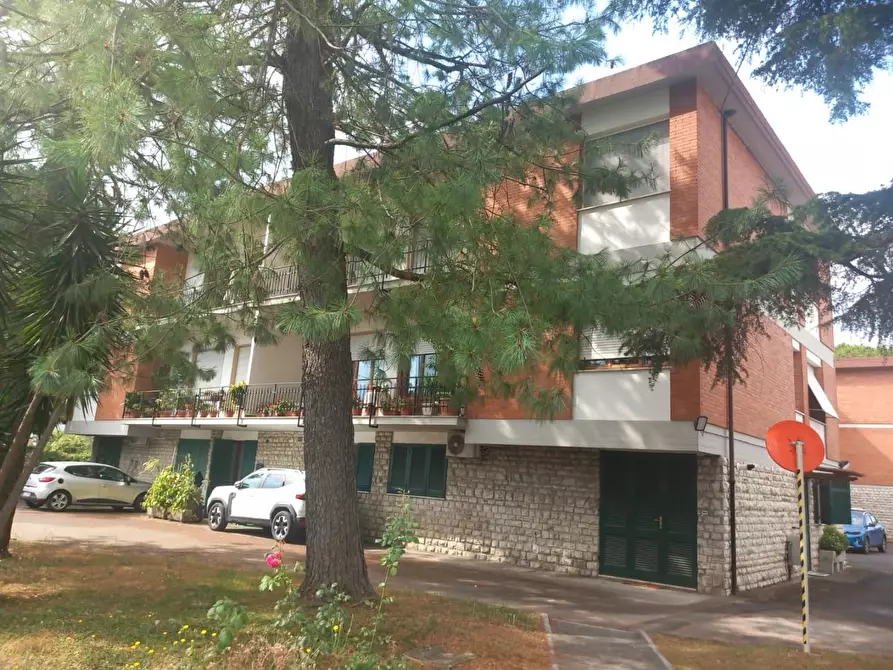 Immagine 18 di Appartamento in affitto  a Massa