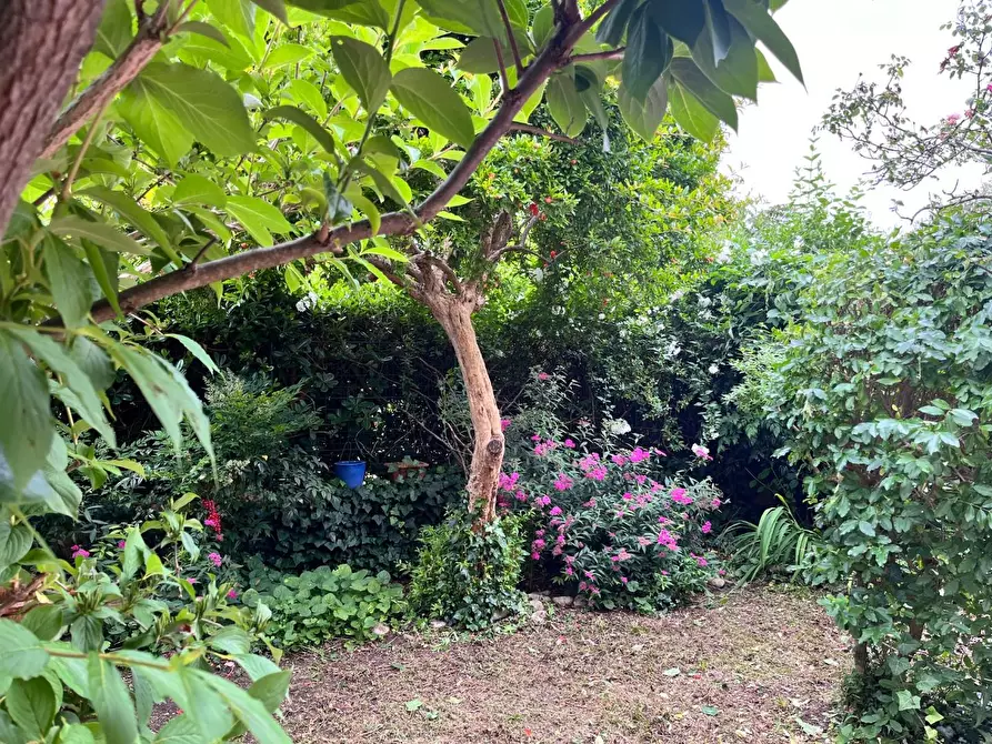 Immagine 15 di Terratetto in vendita  a San Giuliano Terme