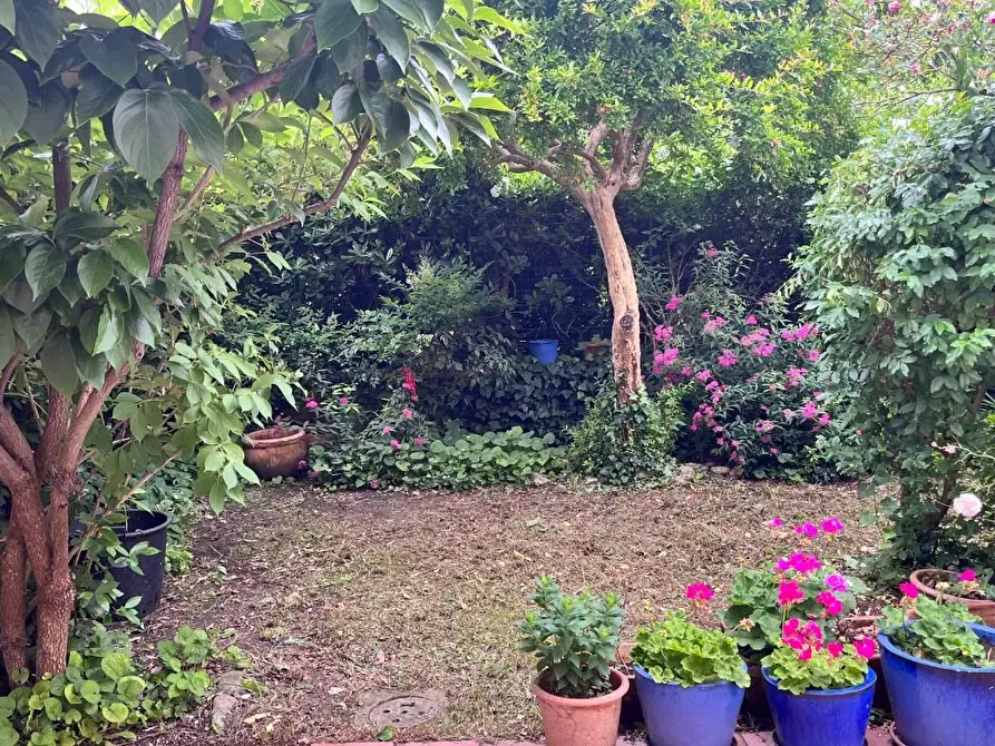 Immagine 14 di Terratetto in vendita  a San Giuliano Terme