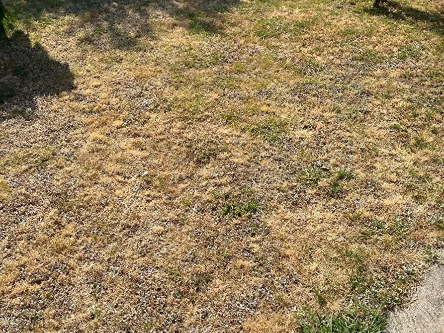 Immagine 21 di Porzione di casa in vendita  a Massa