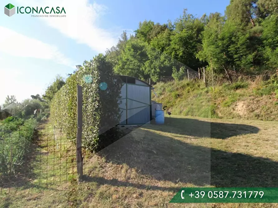 Immagine 4 di Terreno residenziale in vendita  a Palaia