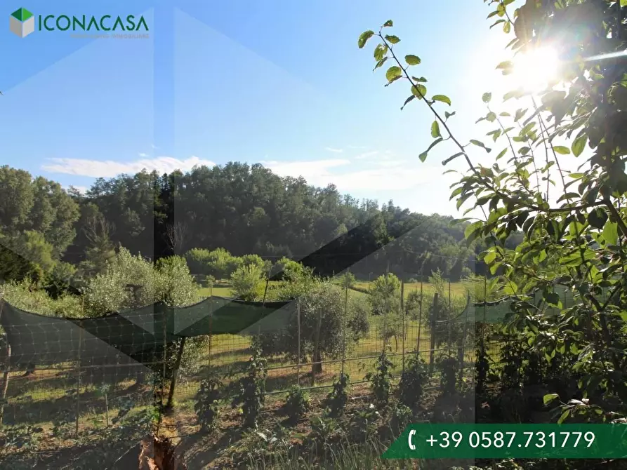 Immagine 5 di Terreno residenziale in vendita  a Palaia