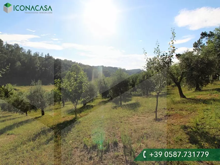 Immagine 3 di Terreno residenziale in vendita  a Palaia