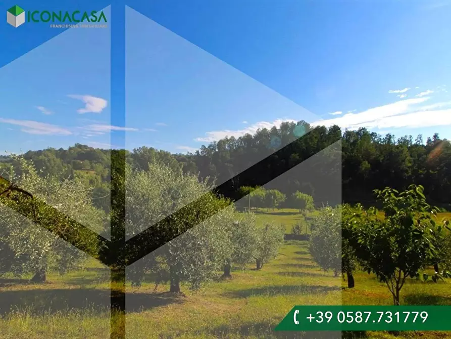 Immagine 1 di Terreno residenziale in vendita  a Palaia