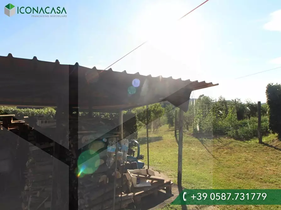 Immagine 2 di Terreno residenziale in vendita  a Palaia