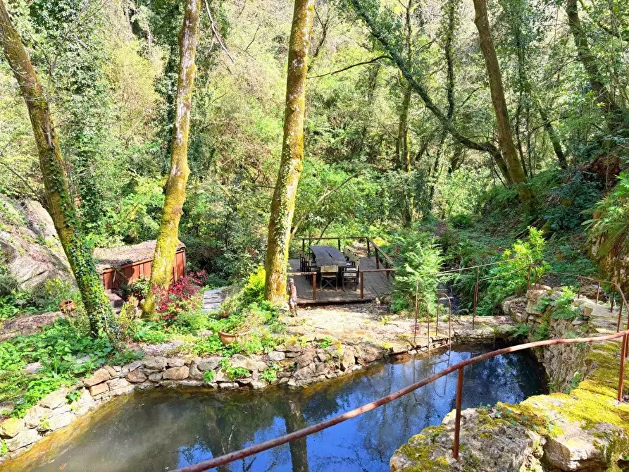 Immagine 23 di Rustico / casale in vendita  a Camaiore