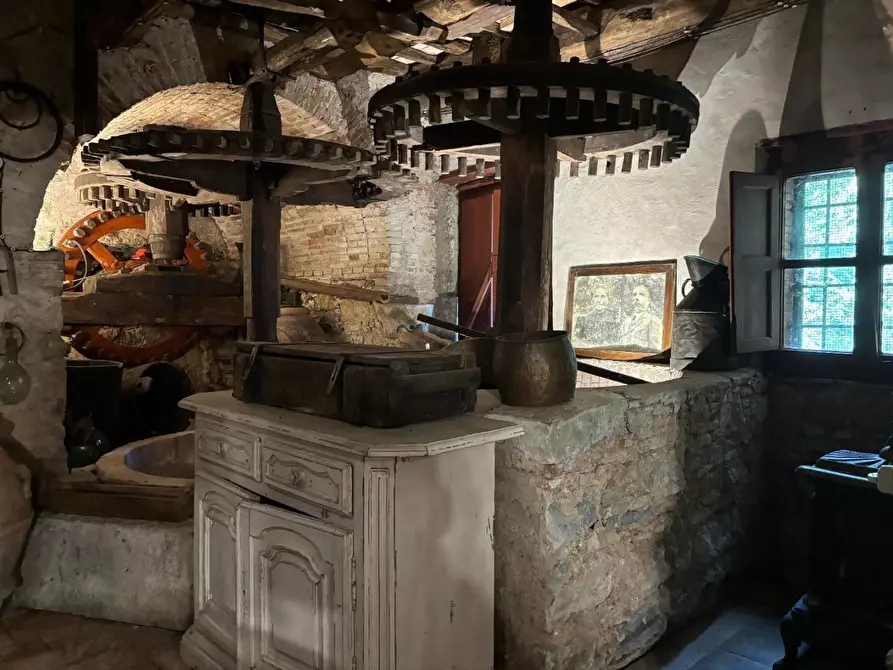 Immagine 19 di Rustico / casale in vendita  a Camaiore