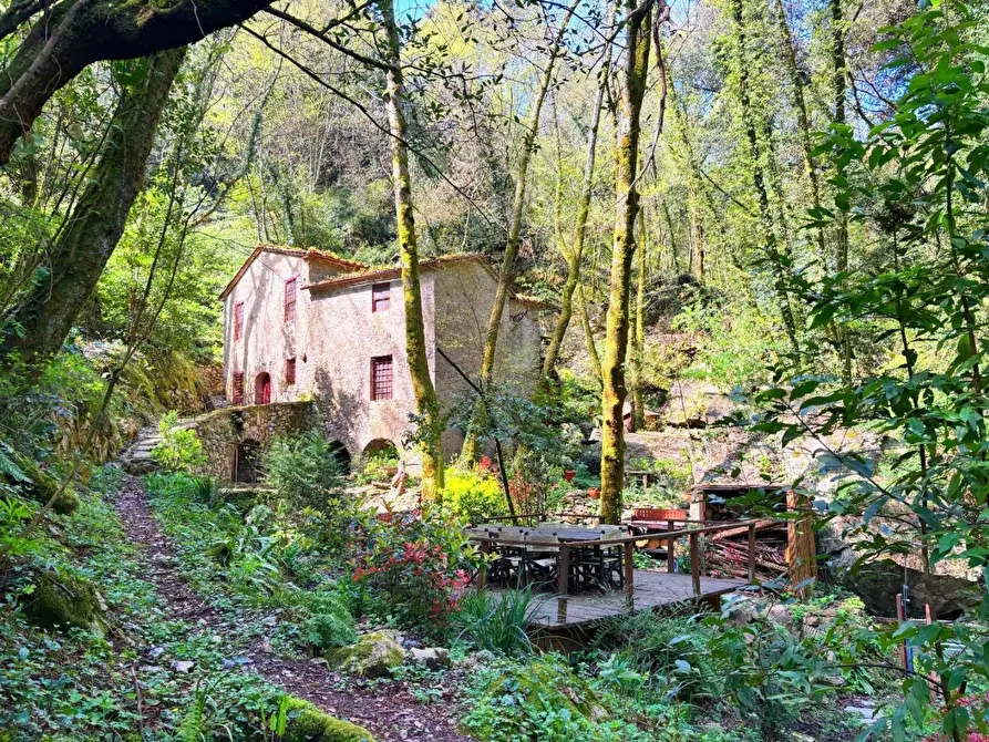 Immagine 1 di Rustico / casale in vendita  a Camaiore