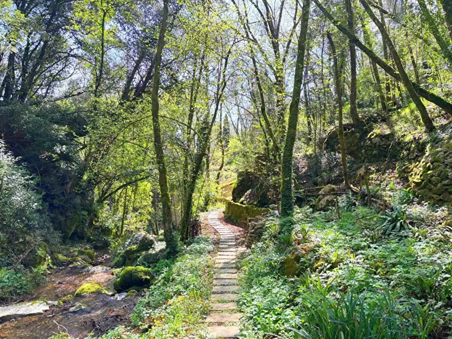 Immagine 2 di Rustico / casale in vendita  a Camaiore