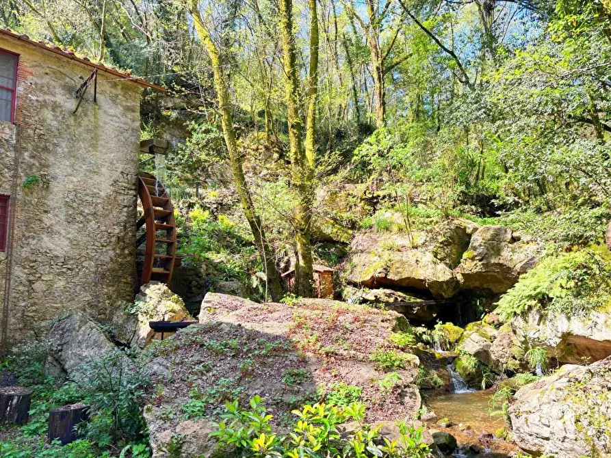 Immagine 24 di Rustico / casale in vendita  a Camaiore