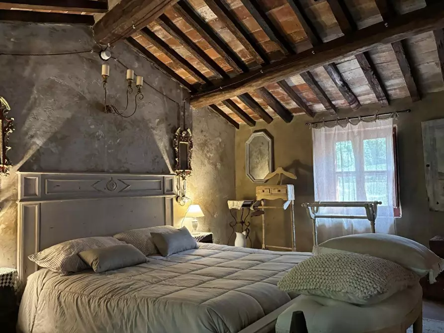 Immagine 13 di Rustico / casale in vendita  a Camaiore