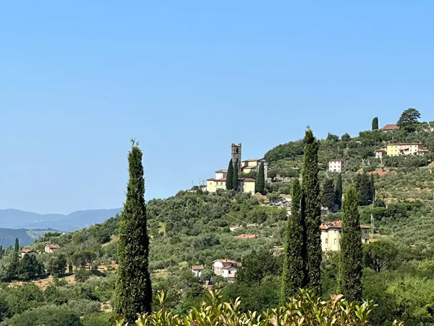 Immagine 27 di Rustico / casale in vendita  a Capannori