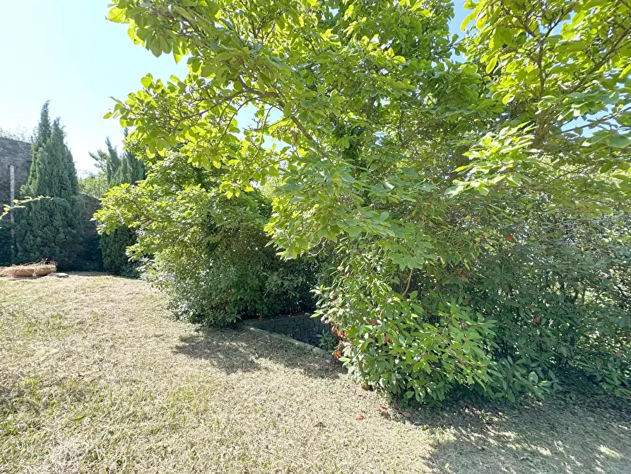 Immagine 21 di Rustico / casale in vendita  a Capannori