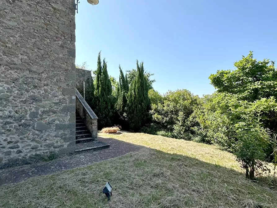 Immagine 25 di Rustico / casale in vendita  a Capannori