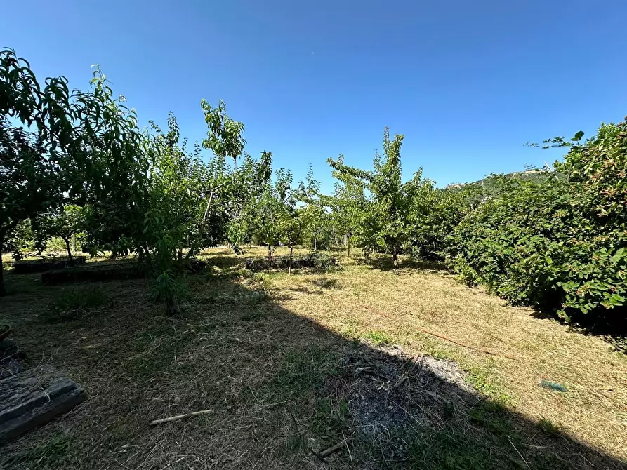 Immagine 28 di Rustico / casale in vendita  a Capannori