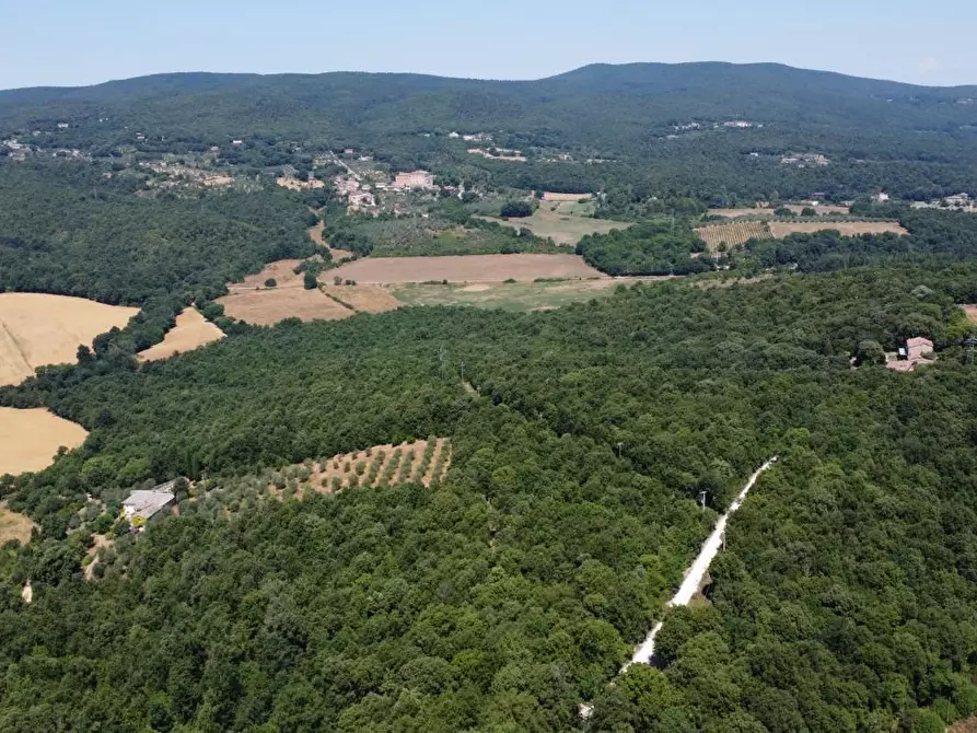 Immagine 30 di Villetta a schiera in vendita  a Siena