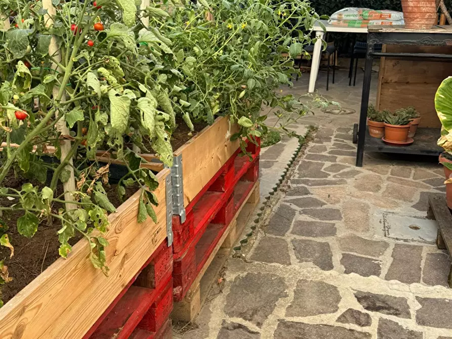 Immagine 28 di Terratetto in vendita  a Vinci