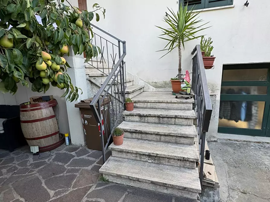 Immagine 33 di Terratetto in vendita  a Vinci