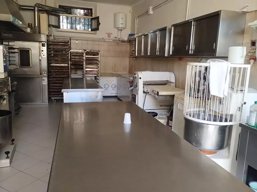 Immagine 3 di Attività commerciale in vendita  a Palaia