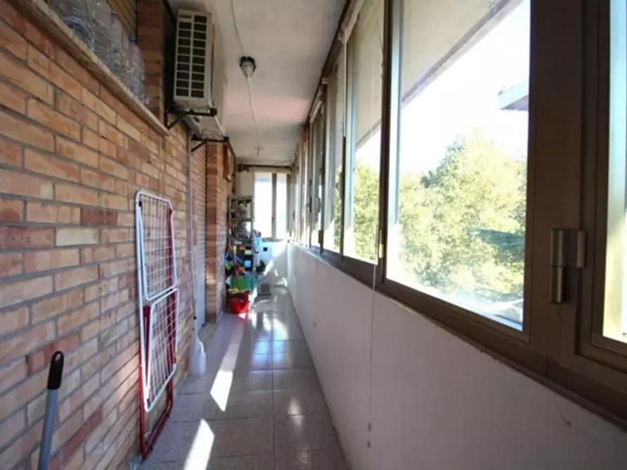 Immagine 3 di Appartamento in affitto  a Pisa