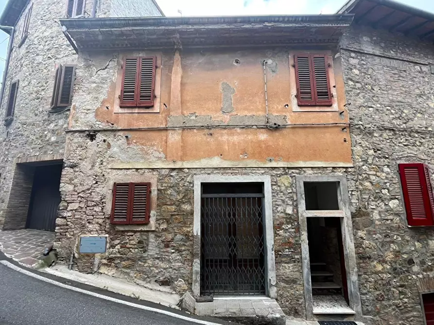 Immagine 5 di Terratetto in vendita  a Lajatico