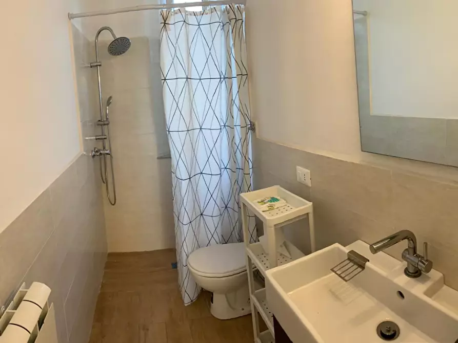 Immagine 9 di Appartamento in affitto  a Pisa