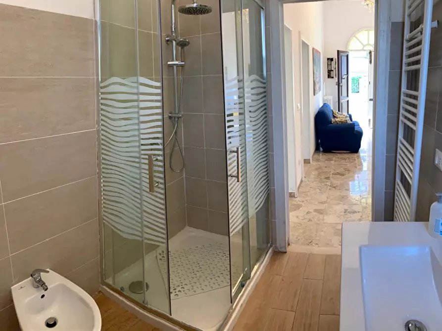 Immagine 11 di Appartamento in affitto  a Pisa