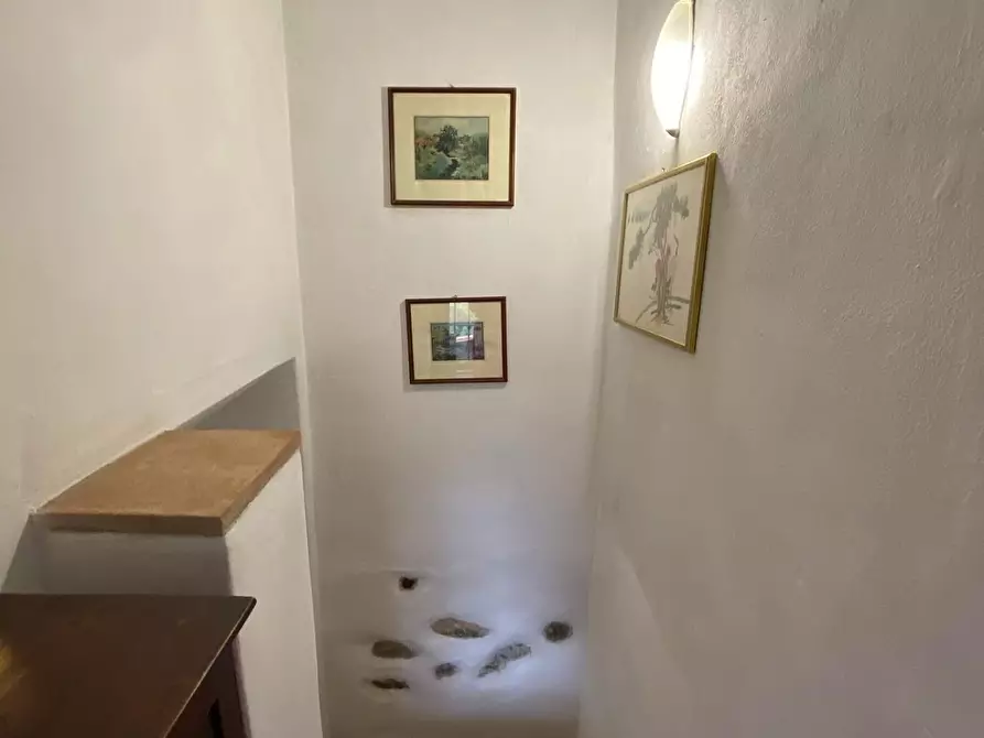 Immagine 11 di Terratetto in vendita  a Vagli Sotto