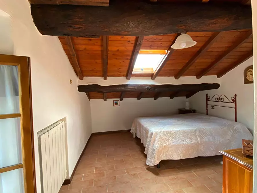 Immagine 1 di Terratetto in vendita  a Vagli Sotto