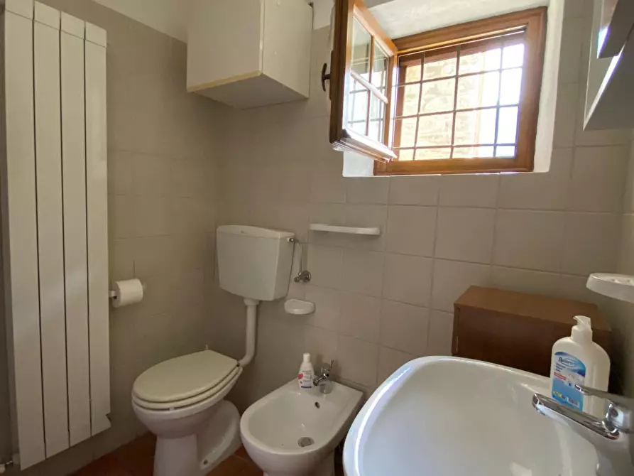 Immagine 6 di Terratetto in vendita  a Vagli Sotto