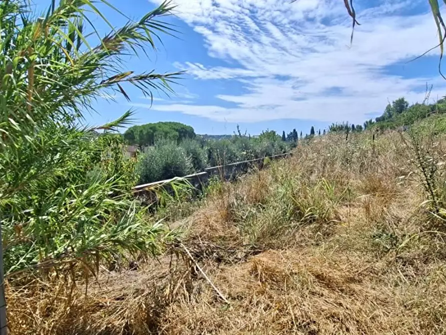 Immagine 8 di Terreno residenziale in vendita  a Terricciola